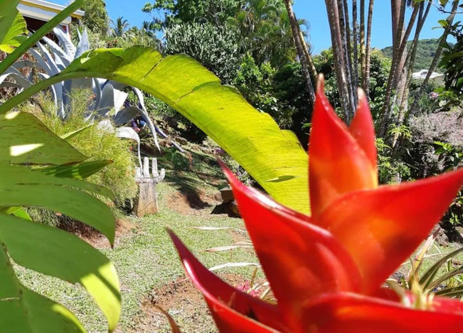 Bungalow Charmant Avec Vue Sur La Mer A Sainte Rose 0*, Sainte-Rose